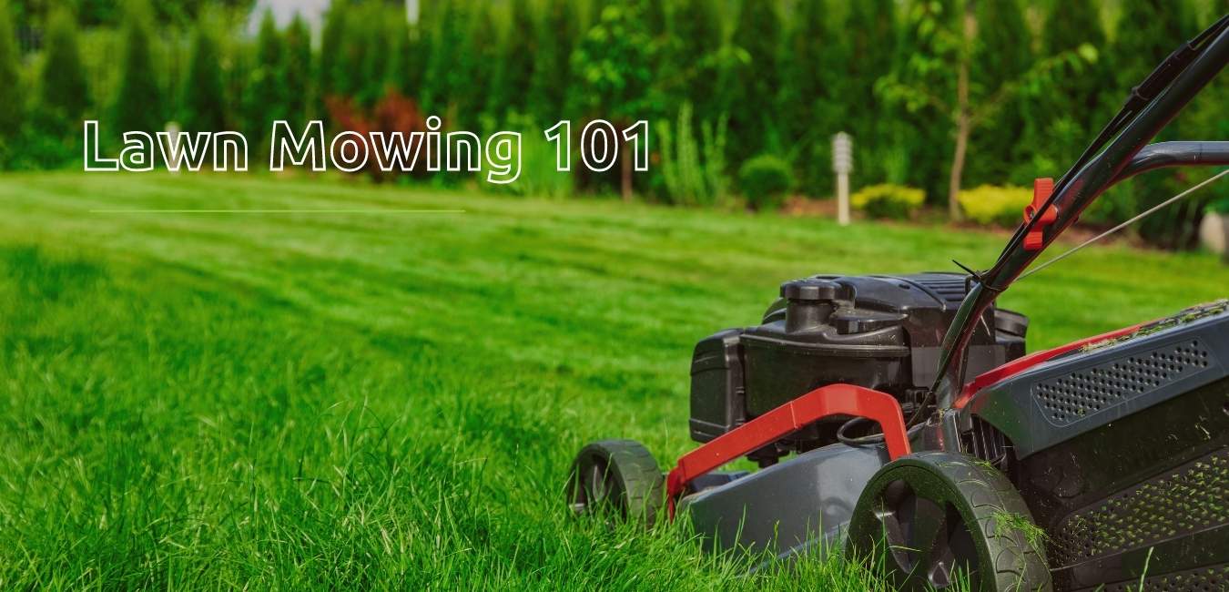 Lawn Mowing 101 - TruNorth Landscaping