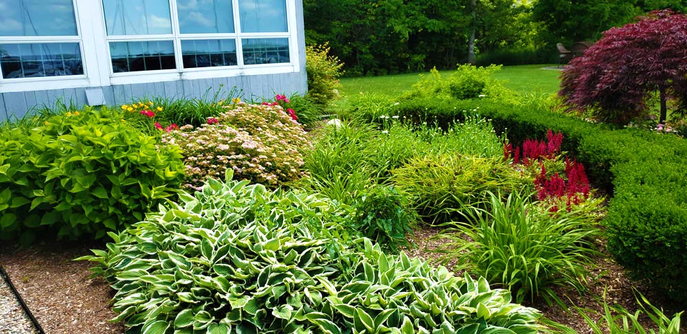 Commercial Landscaping Ideas