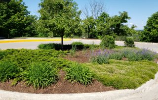 Landscape Bed Remodel and Maintenance at Copper Ridge Surgery Center Traverse City Michigan