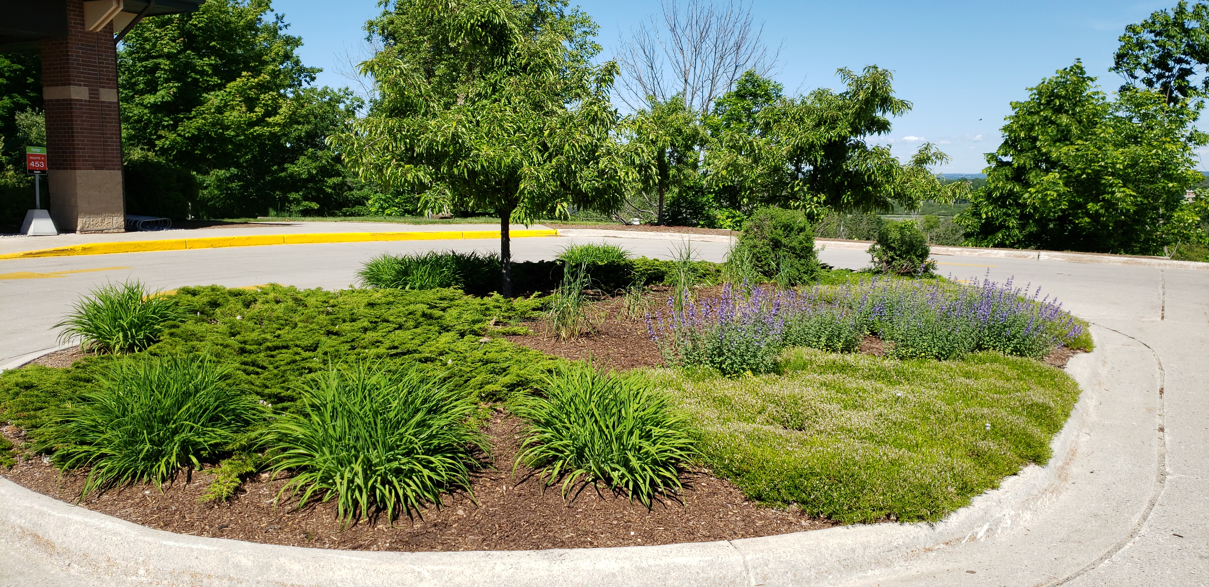 Landscape Beds Maintenance Horticulture, Landscaping Traverse City Michigan