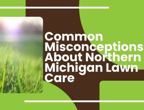 Common Misconceptions about Northern Michigan Lawn Care