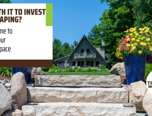 Is It Worth It to Invest in Landscaping? 4 Signs It’s Time to Transform Your Residential Space