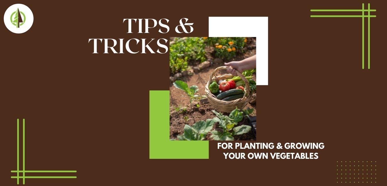 tips and tricks for vegetable garden