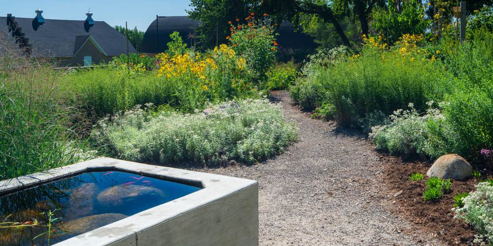 butterfly garden with native plants