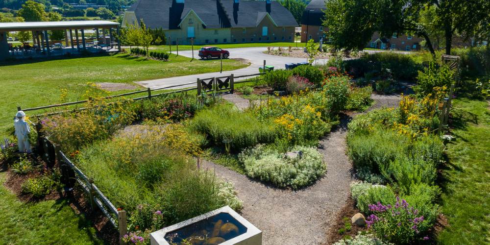 butterfly garden with native plants