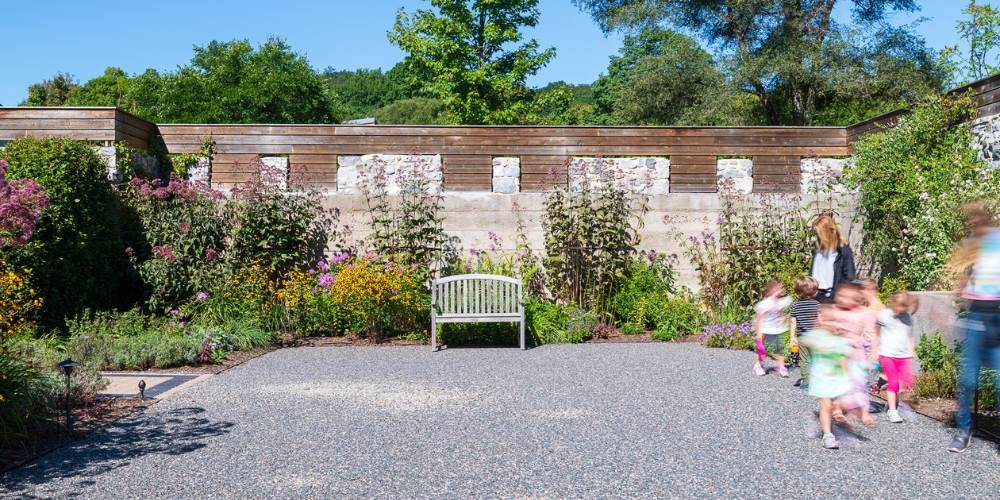 native plantings in pollinator garden