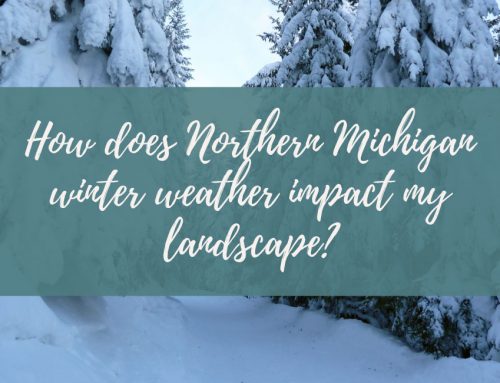 How Does Northern Michigan Winter Weather Impact My Landscape and What Can I Do to Help Prevent Damage?