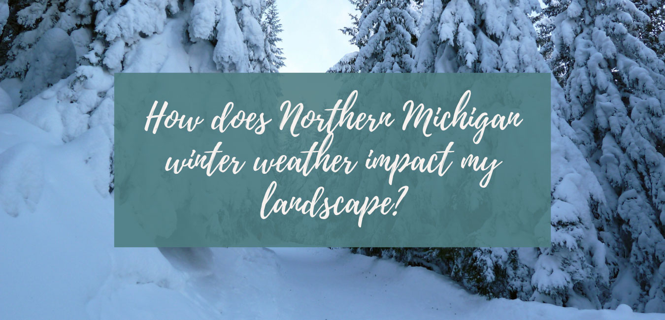 How does Northern Michigan weather impact my landscape