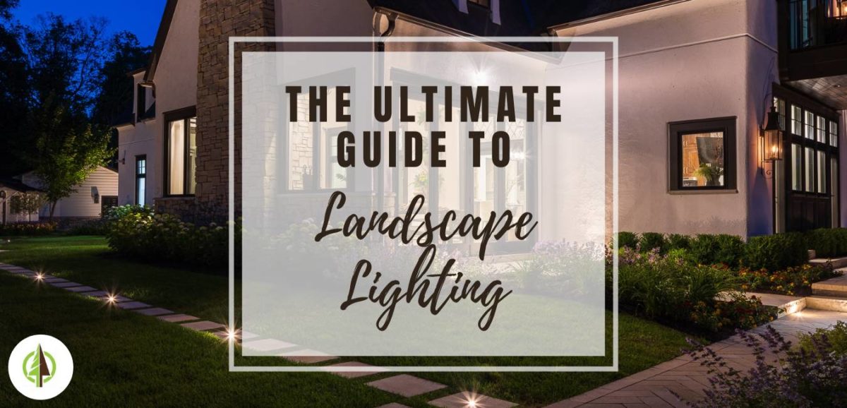 The Ultimate Guide to Landscape Lighting TruNorth Landscaping