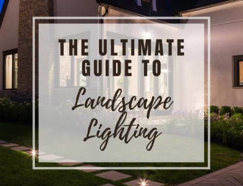 The Ultimate Guide to Landscape Lighting