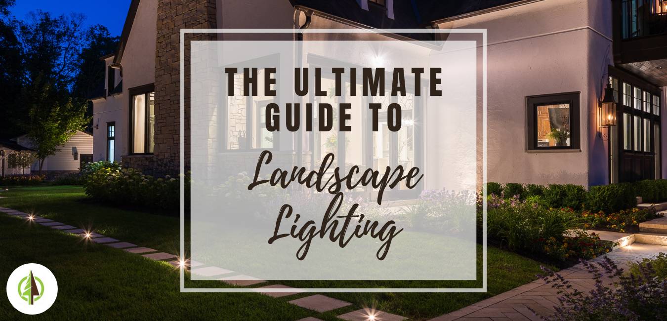 ultimate guide to landscape lighting