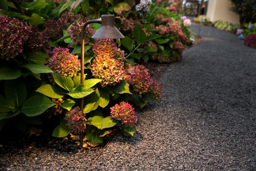 landscape lighting