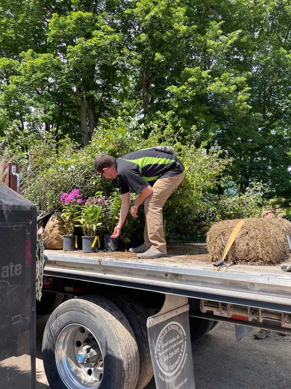 landscape designer unloads plants and jobsite