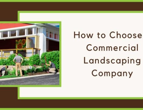 How to Choose a Commercial Landscape Maintenance Company