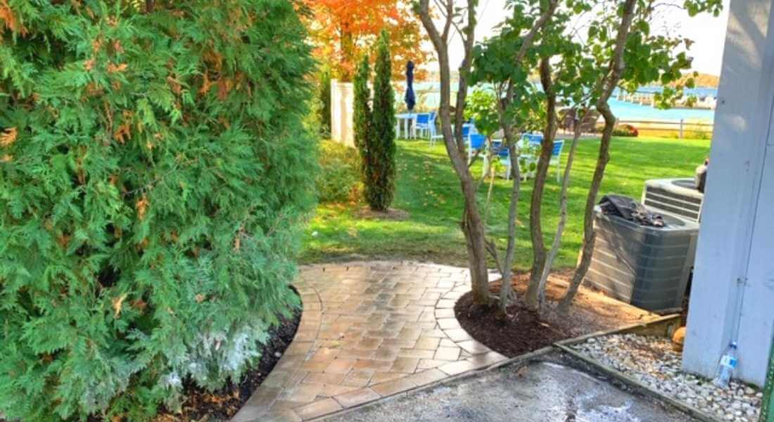 small walkway around building with trees