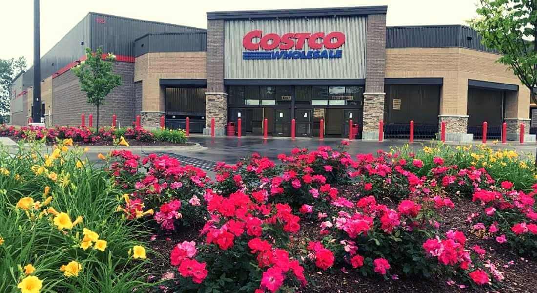 well maintained roses and daylily in front of costco in traverse city mi