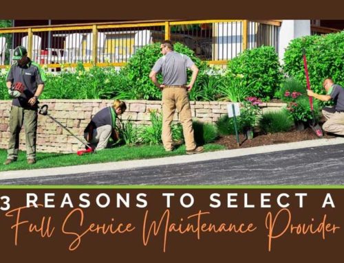 3 Reasons to Select a Full-Service Landscape Maintenance Provider
