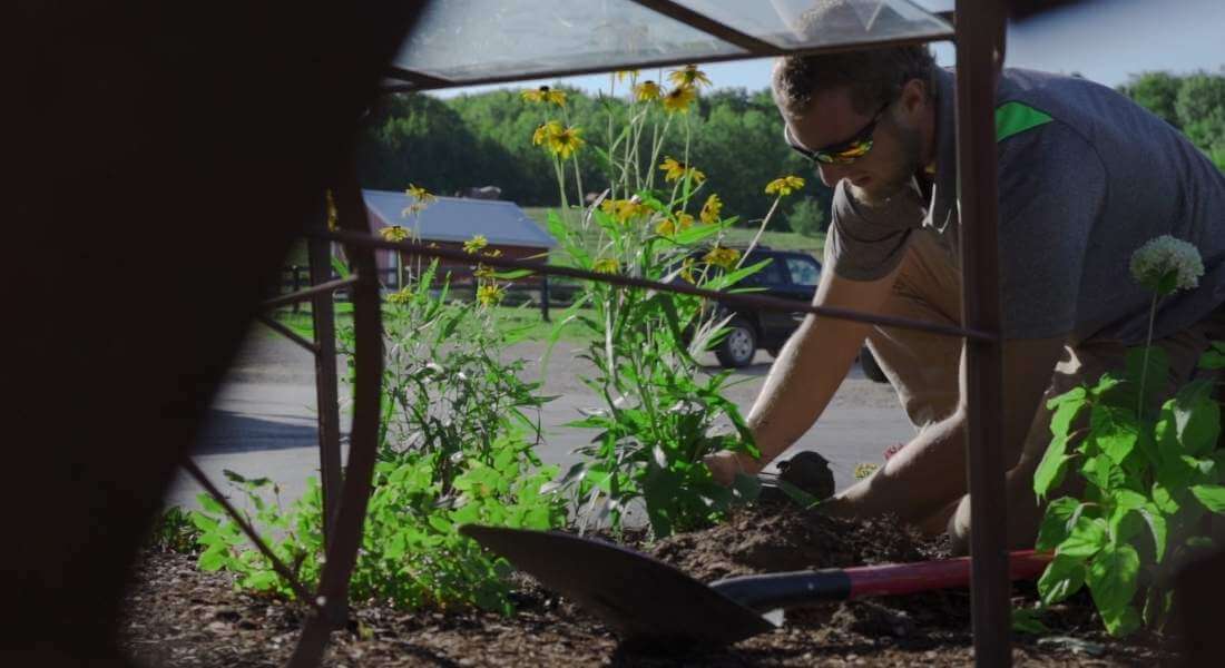 commercial landscape crew plants flowers