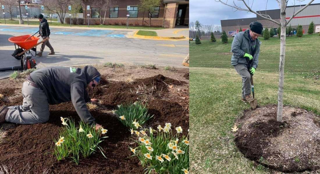 commercial landscape maintenance crew edges landscape bed and installs mulch