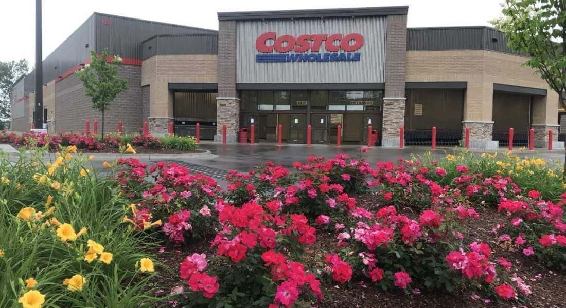 roses and daylily in landscape bed at costco