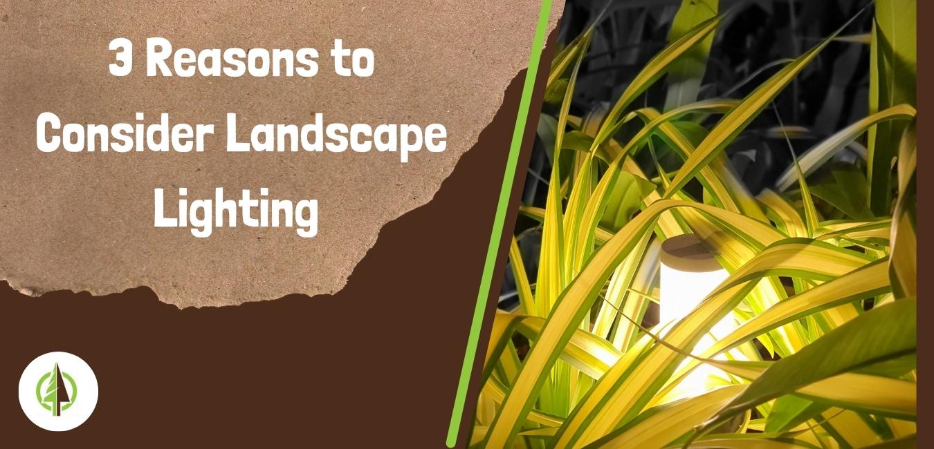 reasons to consider landscape lighting