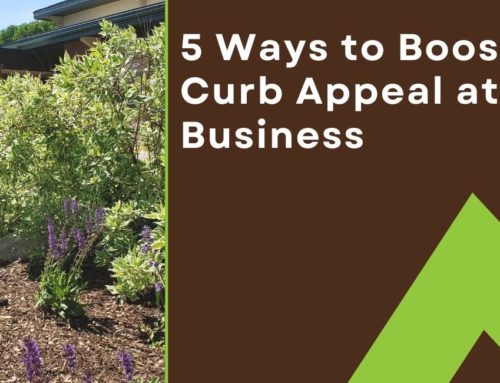 5 Ways to Boost Curb Appeal at Your Business