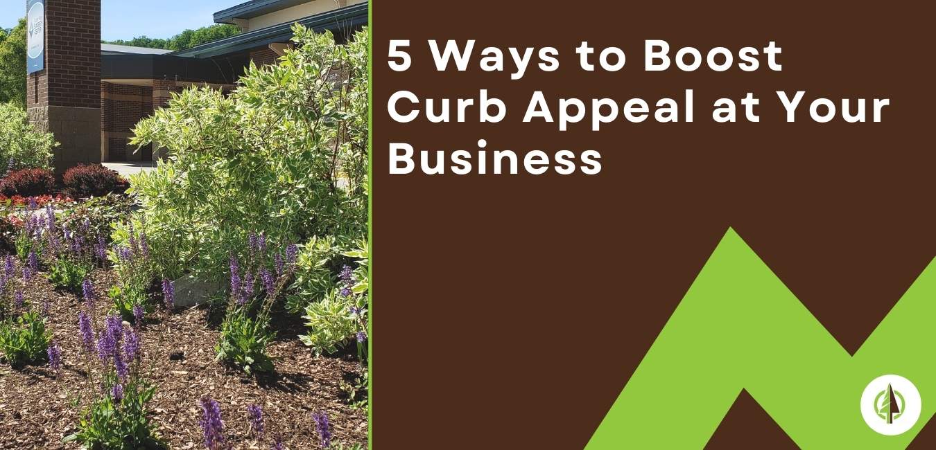 5 Ways to Boost Curb Appeal at Your Business