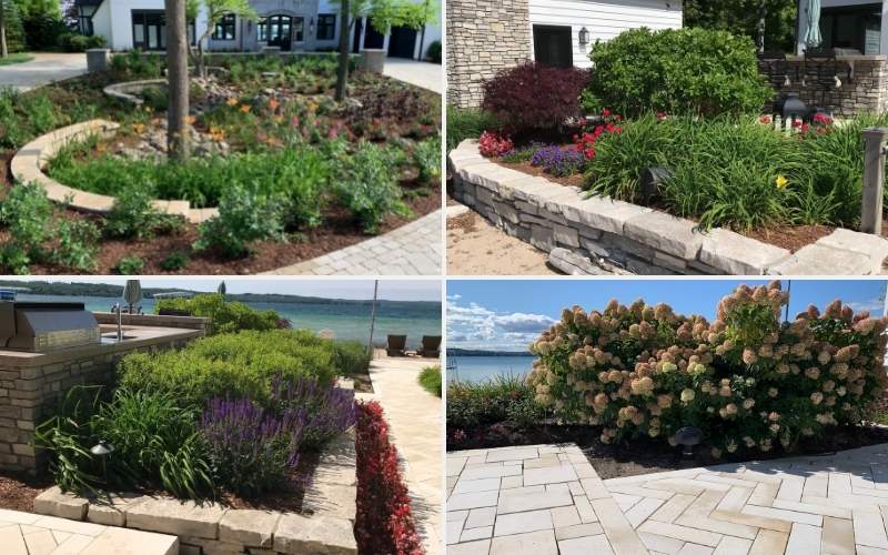 flowers and plantings in landscape beds