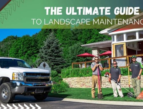 The Ultimate Guide to Landscape Maintenance Services