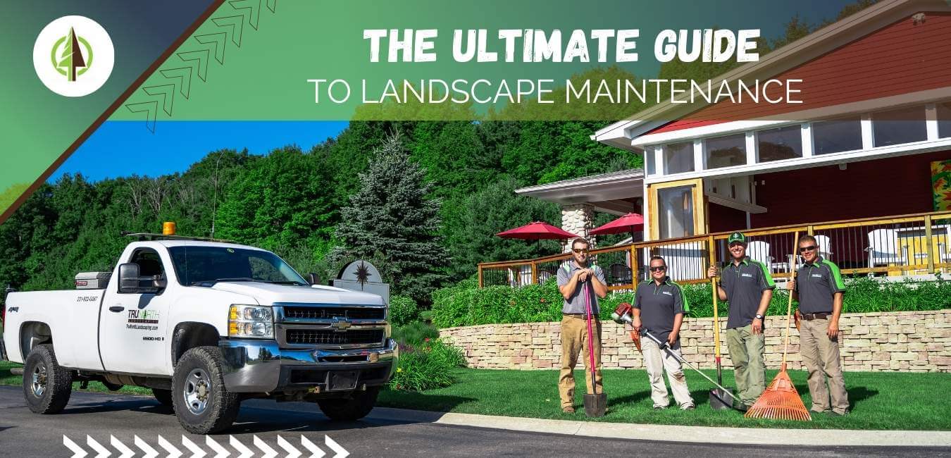 Ultimate Guide to Landscape Maintenance