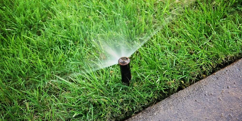 automated pop up sprinkler head waters grass