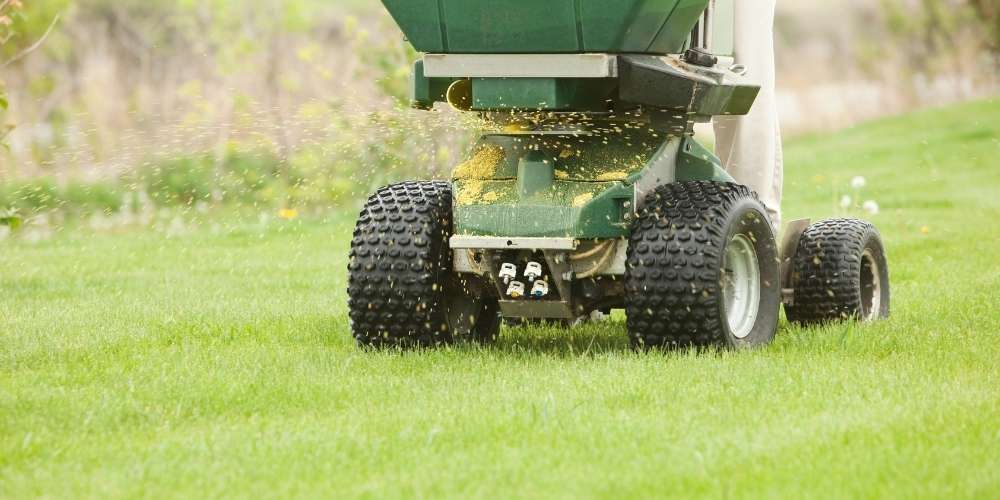 lawn care professional fertilizes grass with ride on machine 