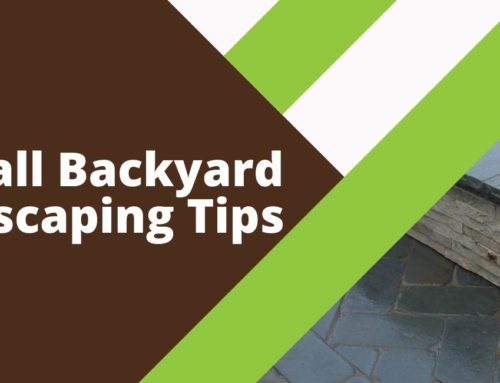 5 Small Backyard Landscaping Ideas