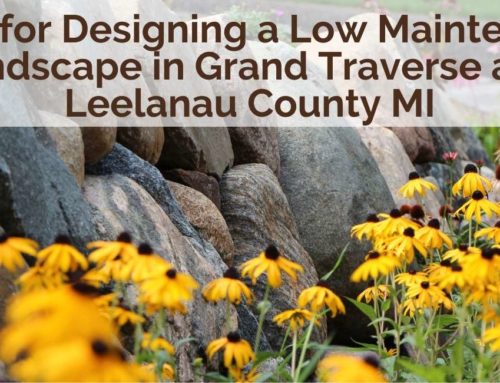 7 Tips for Designing a Low Maintenance Landscape in Grand Traverse and Leelanau County MI