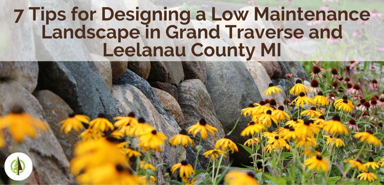 Designing a Low Maintenance Landscape