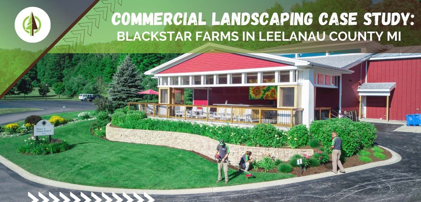 Commercial Landscaping Case Study