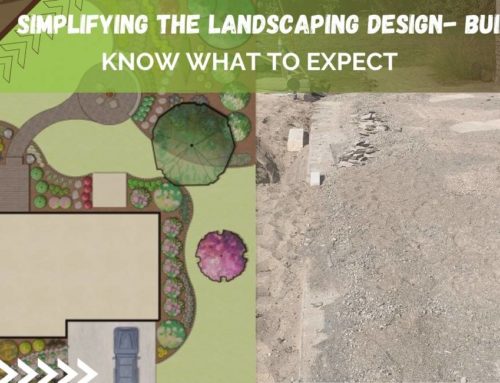 Simplifying The Landscaping Design-Build Process: Know What to Expect