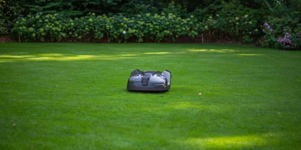 robotic mower cutting grass