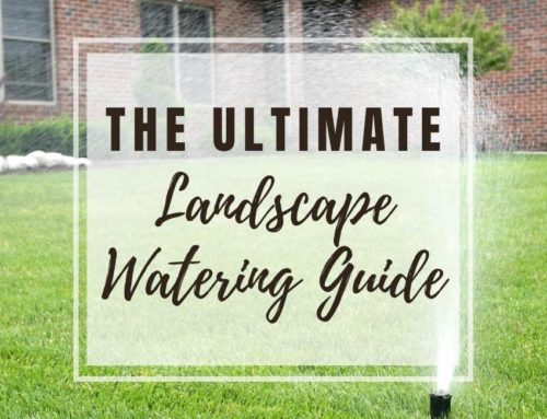 The Ultimate Landscape Watering Guide