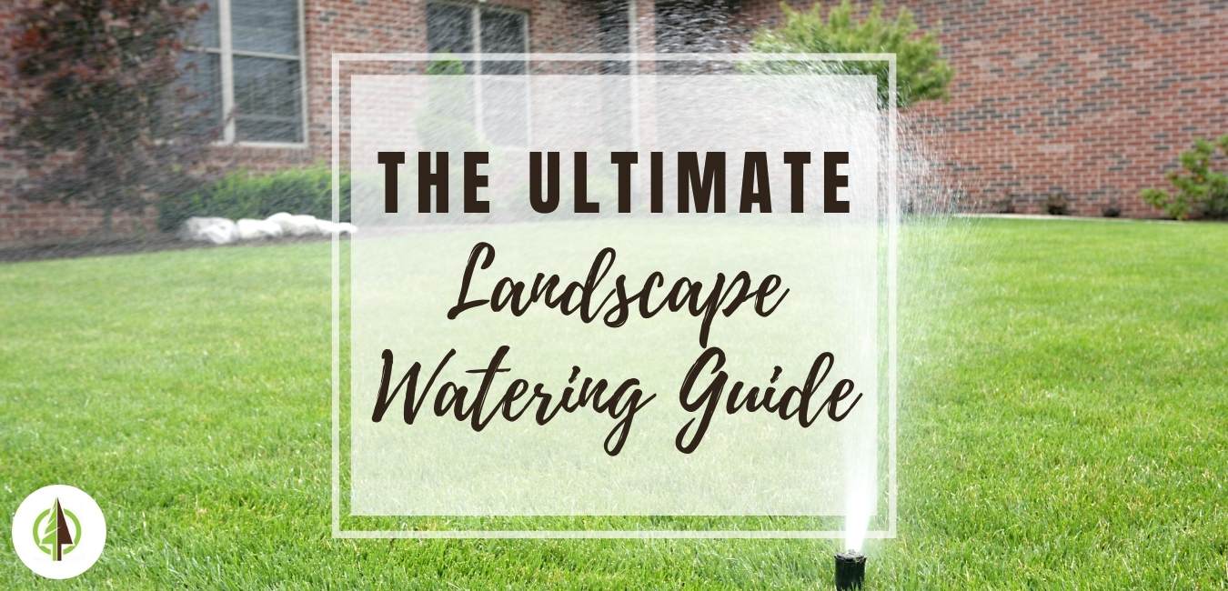 the ultimate landscape watering guide