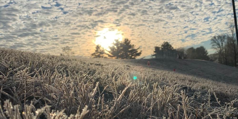 snow and frost in grass