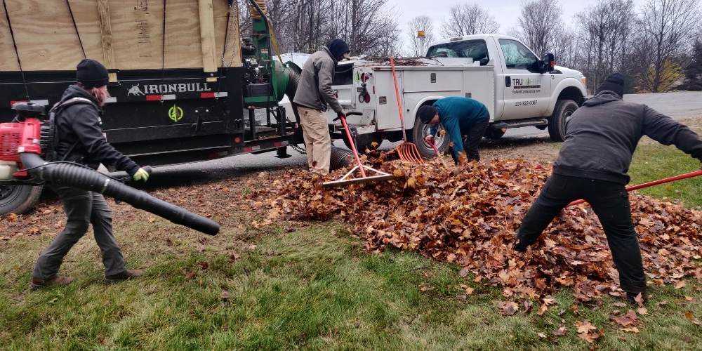 landscape maintenance crew rake leaves