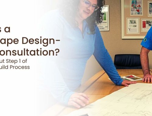 What is a Landscape Design-Build Consultation?