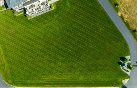 aerial photo of green healthy grass