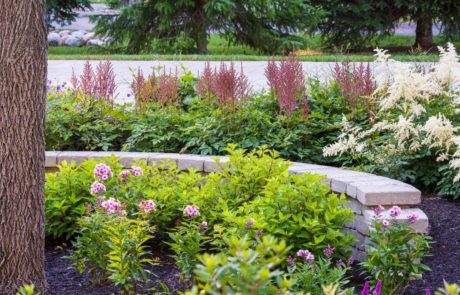 plantings near decorative stone wall in landscape bed