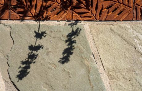 shadow of planting on natural stone walkway
