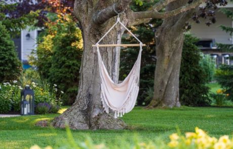 swing hanging from tree over green grass