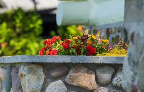annual flowers planted in stone container gardens