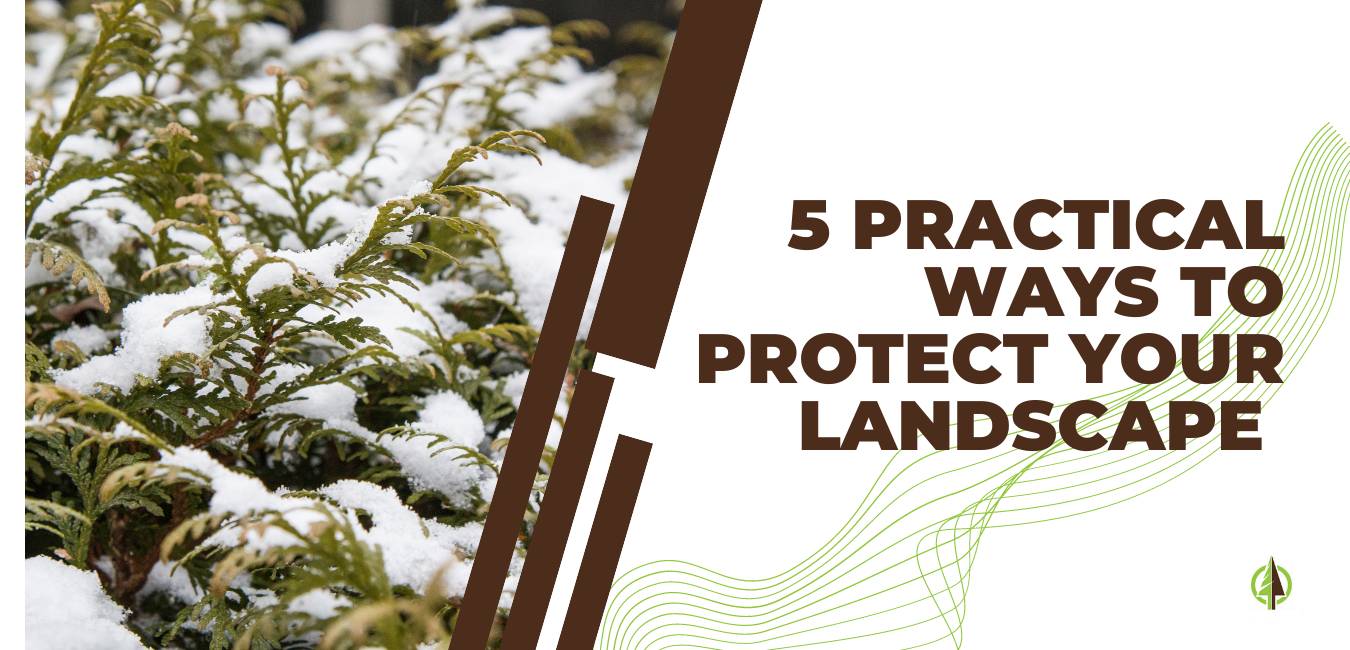 Five practical ways to protect your landscape