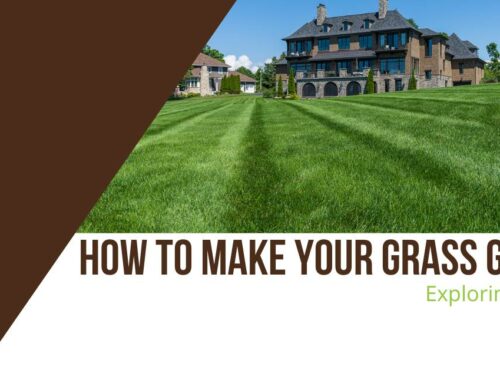 How to Make Your Grass Greener: Exploring Hydretain